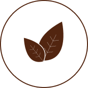 Tè e Tisane Sfuse in Foglia